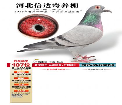 �ӱ��Ŵ��Ĺظ���107��