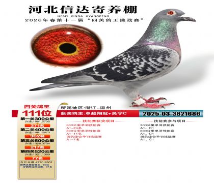 �ӱ��Ŵ��Ĺظ���111��