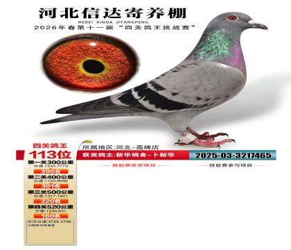 �ӱ��Ŵ��Ĺظ���113��
