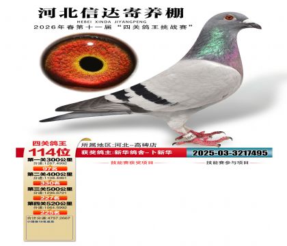 �ӱ��Ŵ��Ĺظ���114��