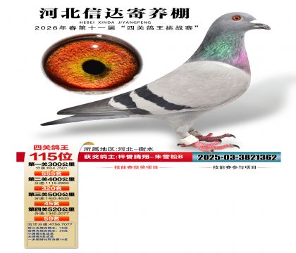 �ӱ��Ŵ��Ĺظ���115��
