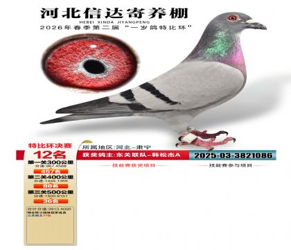 �ӱ��Ŵ����12��