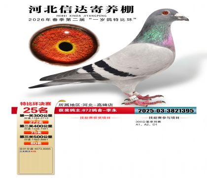 �ӱ��Ŵ����25��