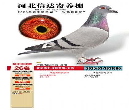 �ӱ��Ŵ����26��