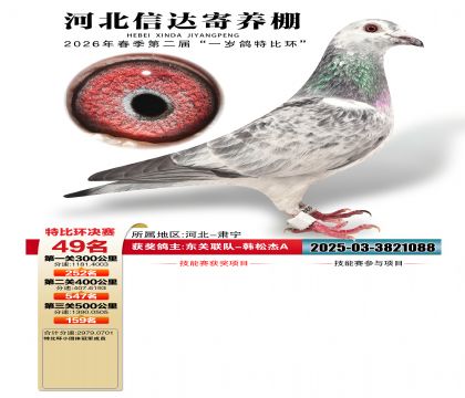 �ӱ��Ŵ����49��