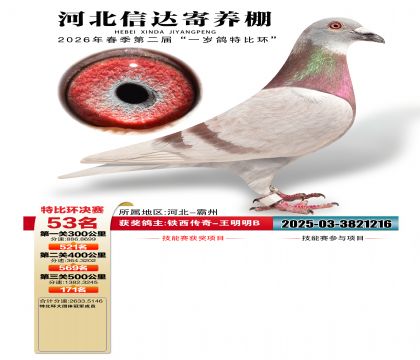 �ӱ��Ŵ����53��