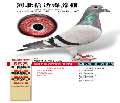 �ӱ��Ŵ����55��