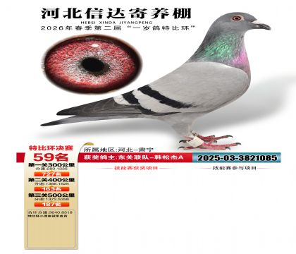 �ӱ��Ŵ����59��