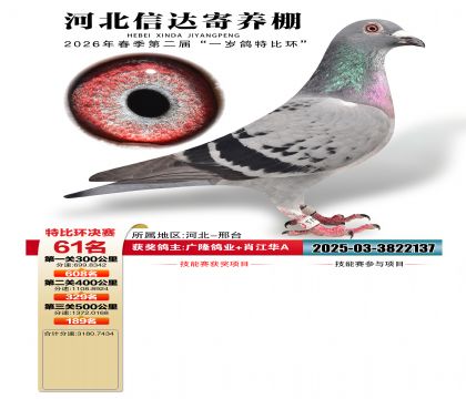 �ӱ��Ŵ����61��