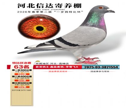 �ӱ��Ŵ����63��