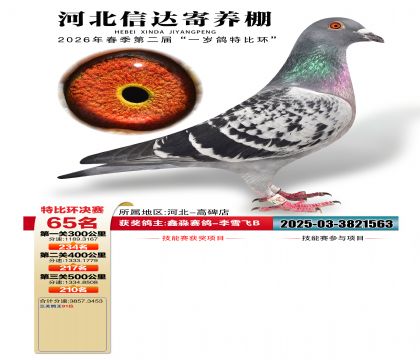 �ӱ��Ŵ����65��