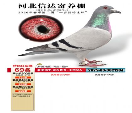 �ӱ��Ŵ����69��