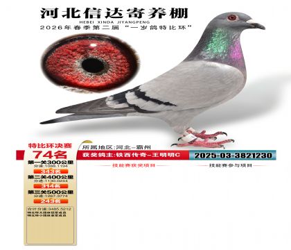 �ӱ��Ŵ����74��