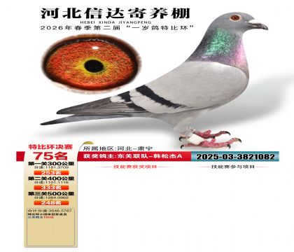 �ӱ��Ŵ����75��