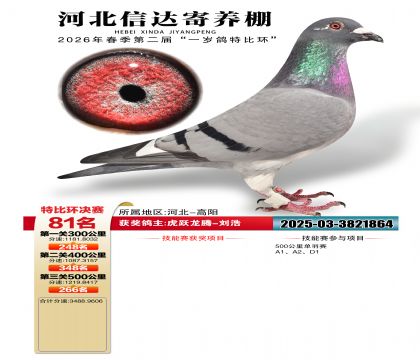 �ӱ��Ŵ����81��