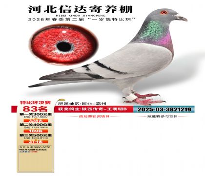 �ӱ��Ŵ����83��