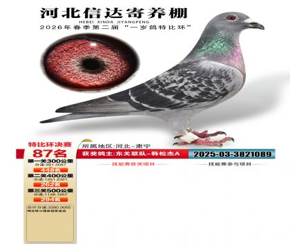 �ӱ��Ŵ����87��