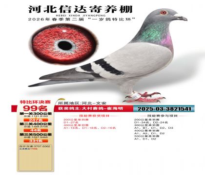 �ӱ��Ŵ����99��