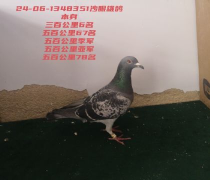 ��ٹ����Ǿ���ٹ��＾��