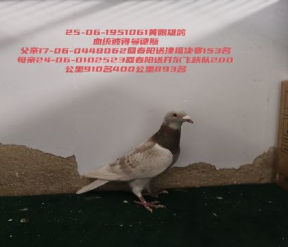 ��ĸ���ǻش����Һ����
