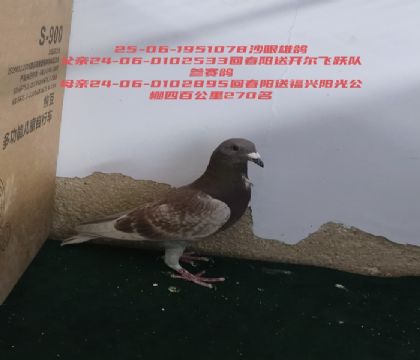 ��ĸ���ǻش����Һ����