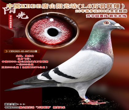 ɣ��ʿ.������ɽ�������500��������