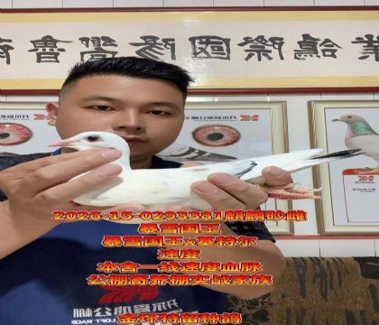 ��ѩ����ֱ��x���ض�����Ů���������ָ�