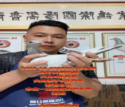 ��ֱ��x������ֱŮ���������ָ�