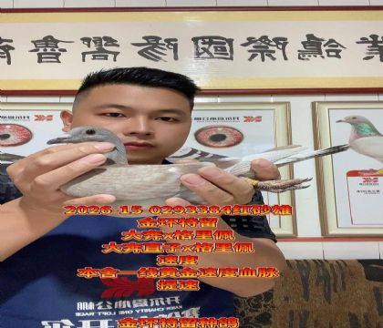 ��ֱ��x������ֱŮ���������ָ�