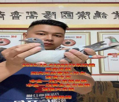 ����һ���컨��Ѫ���������޵�ֱ��x��Ů