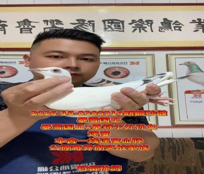 ��ѩ����ֱ��x���ض����������ĸ