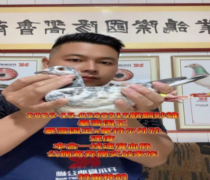 ��ѩ����ֱ��x���ض�����Ů����������