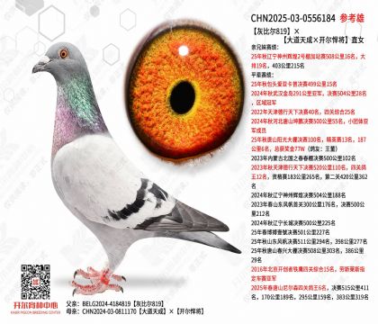 �ұȶ�819���������ɡ�����������ֱŮ