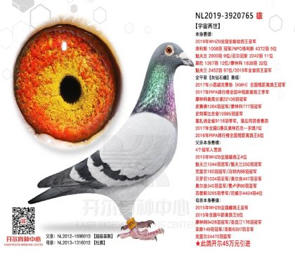 2����-3920765