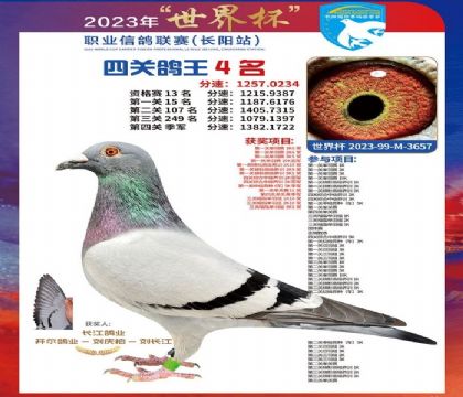 2����23-M03657