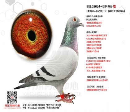 2����-4084769