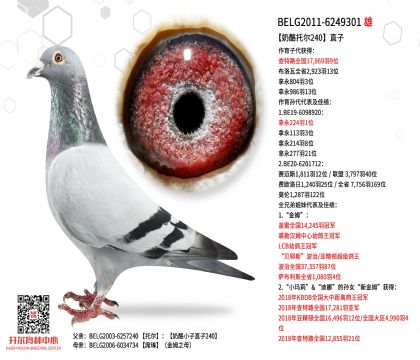 2����BELG2011-6249301