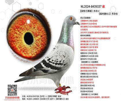 3.ĸ��NL2024-8439337