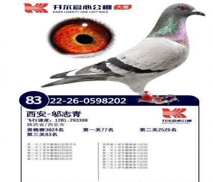 3.ĸ��-0598202