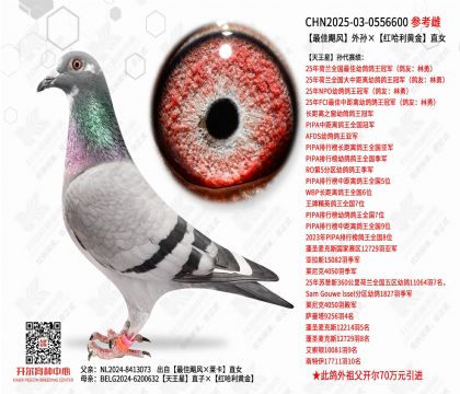 ���쫷������������ƽ�ֱŮ