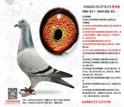 ����ֱ�ӡ�����ƥ����ֱŮ