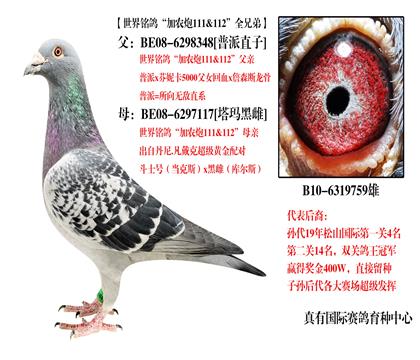 ��ũ��ȫ�ֵ�759