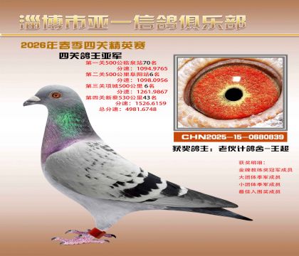 亚一精英赛亚军