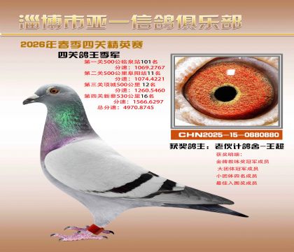 亚一精英赛季军