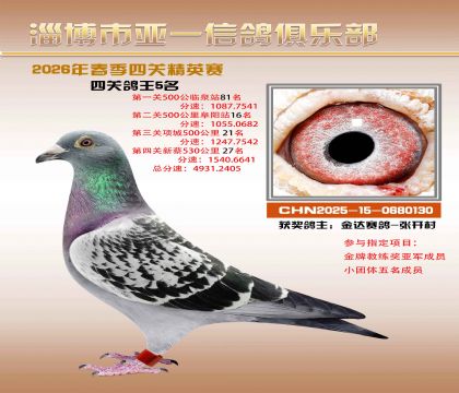 亚一精英赛5名