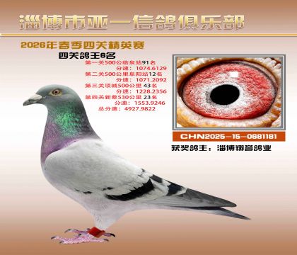 亚一精英赛6名