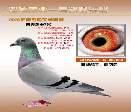 亚一精英赛7名