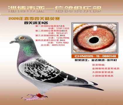 亚一精英赛8名