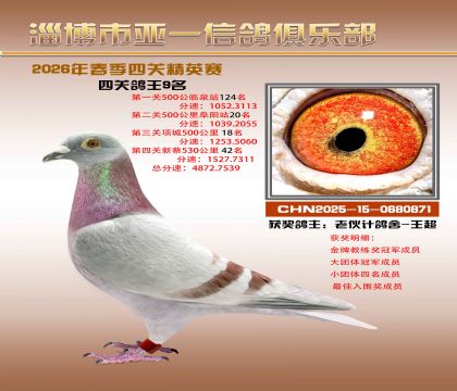 亚一精英赛9名