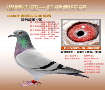 亚一精英赛10名